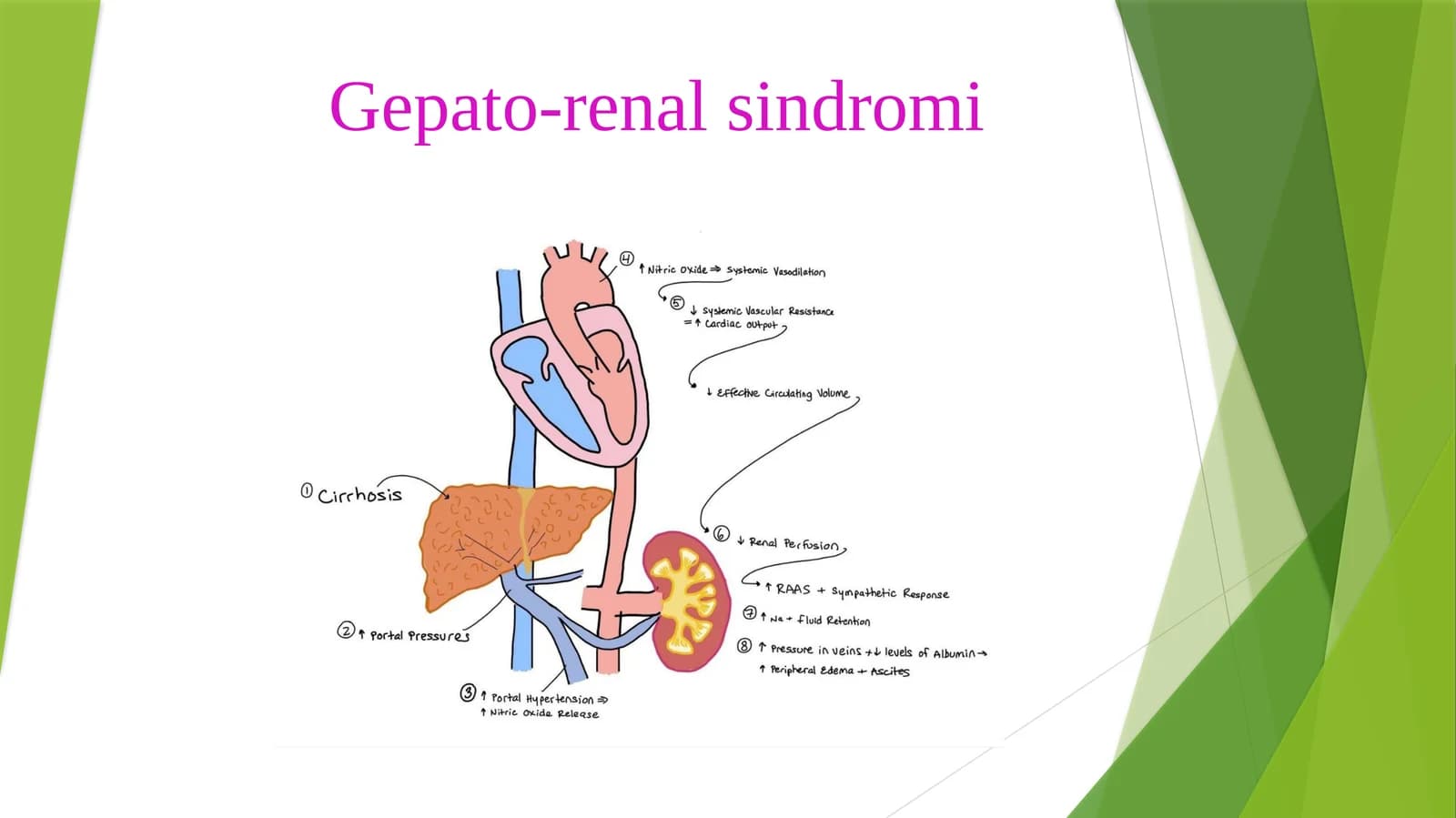 Gepato-renal sindromi