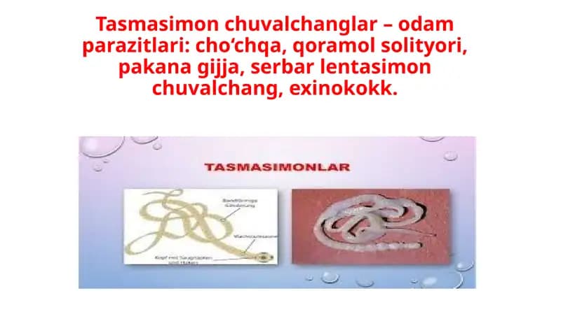 Tasmasimon chuvalchanglar–odam parazitlari