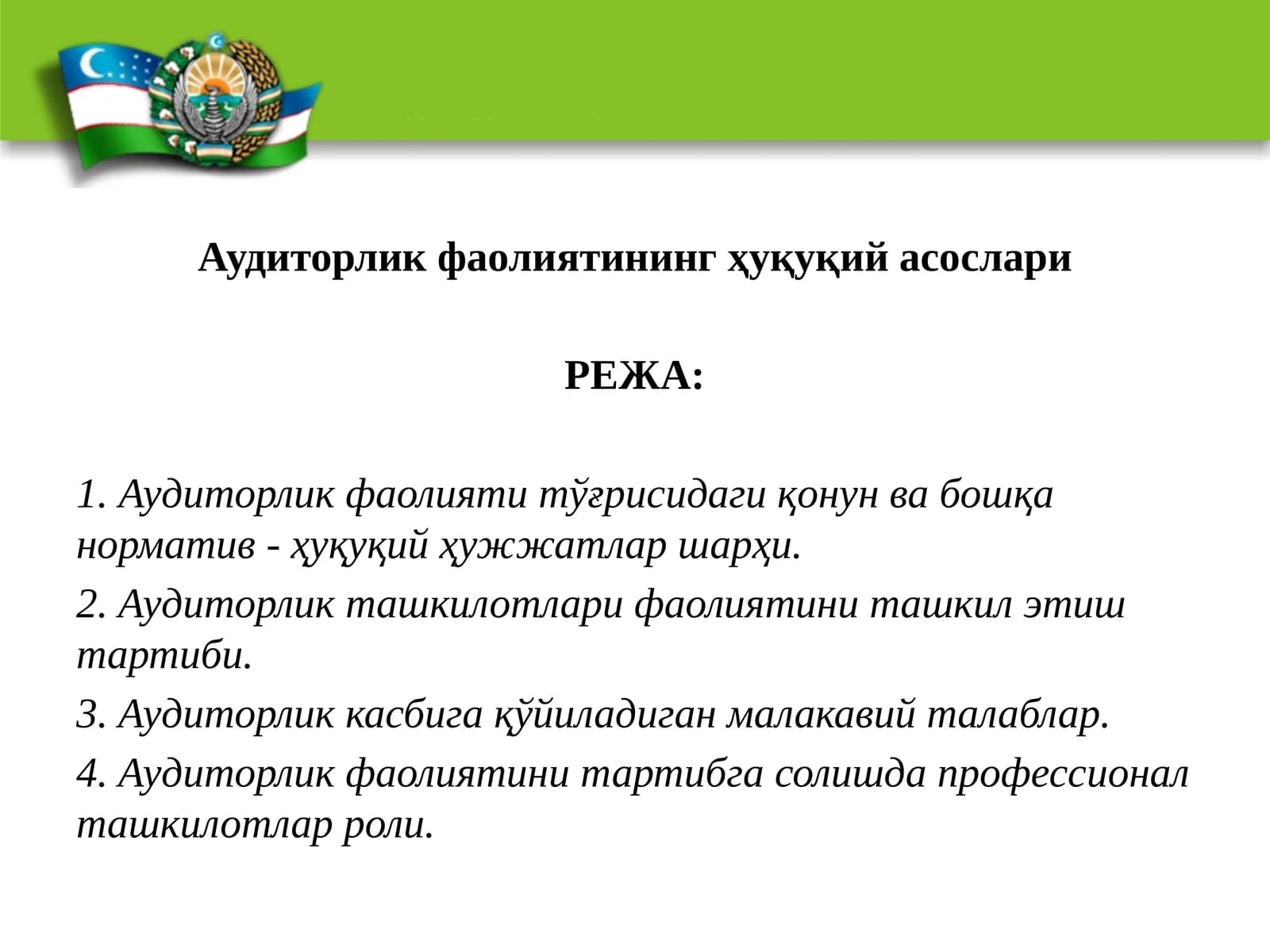 Аудиторлик фаолияти
