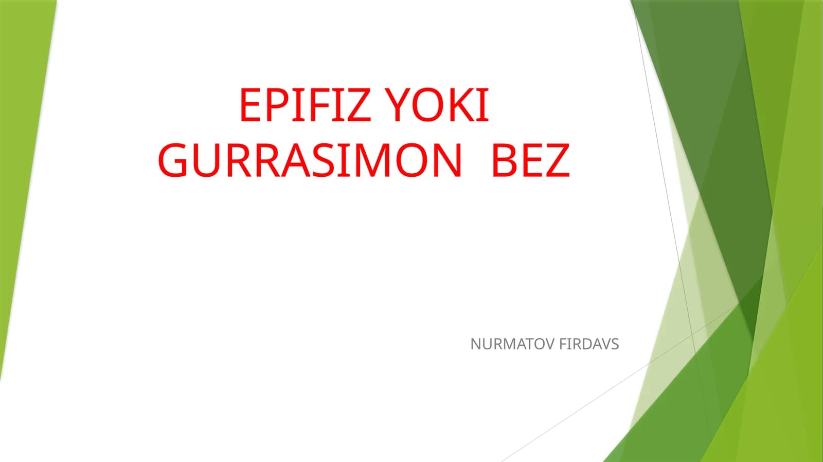 EPIFIZ YOKI GURRASIMON BEZ
