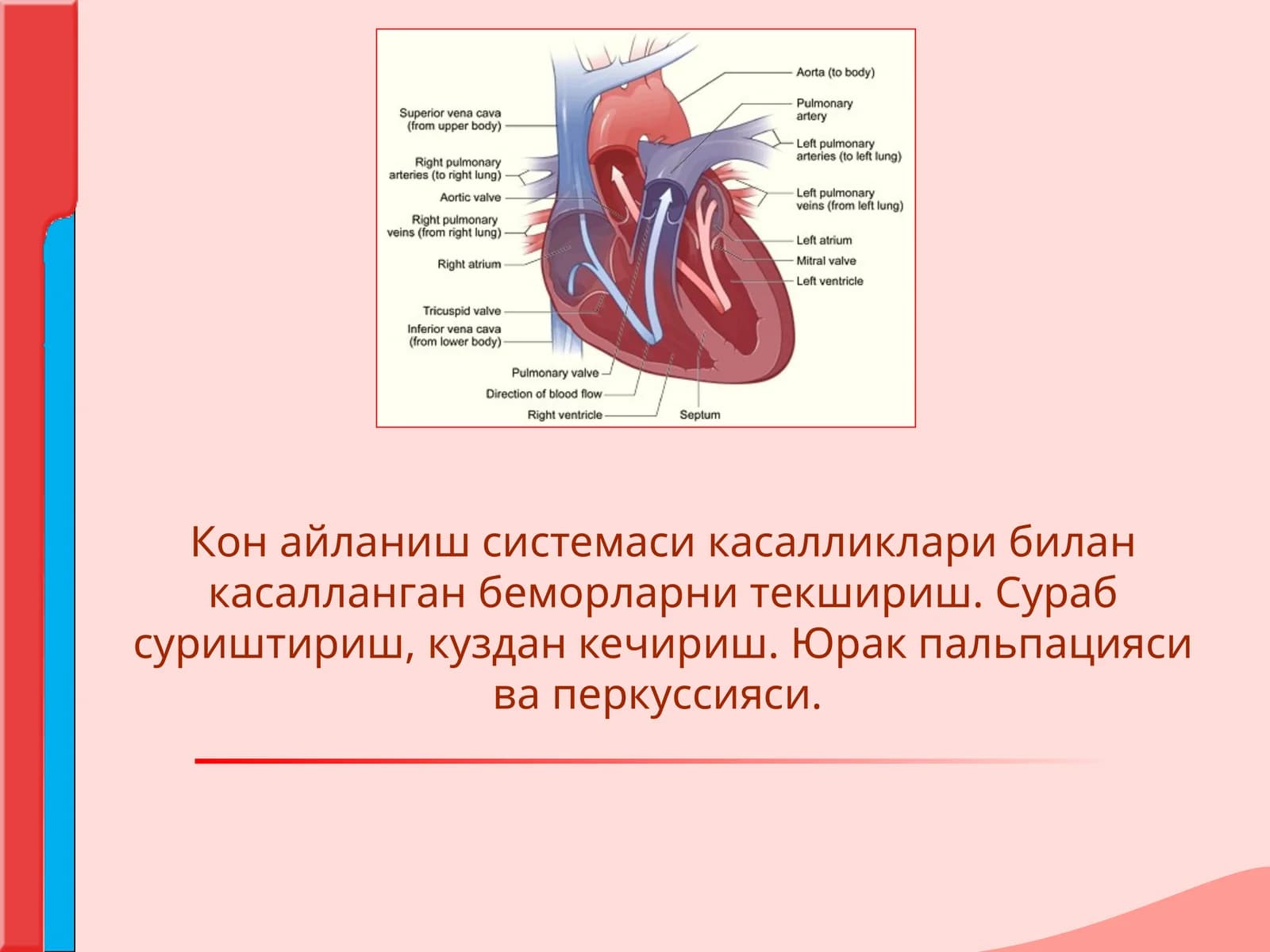 qon aylanish sistemasi kasalliklar