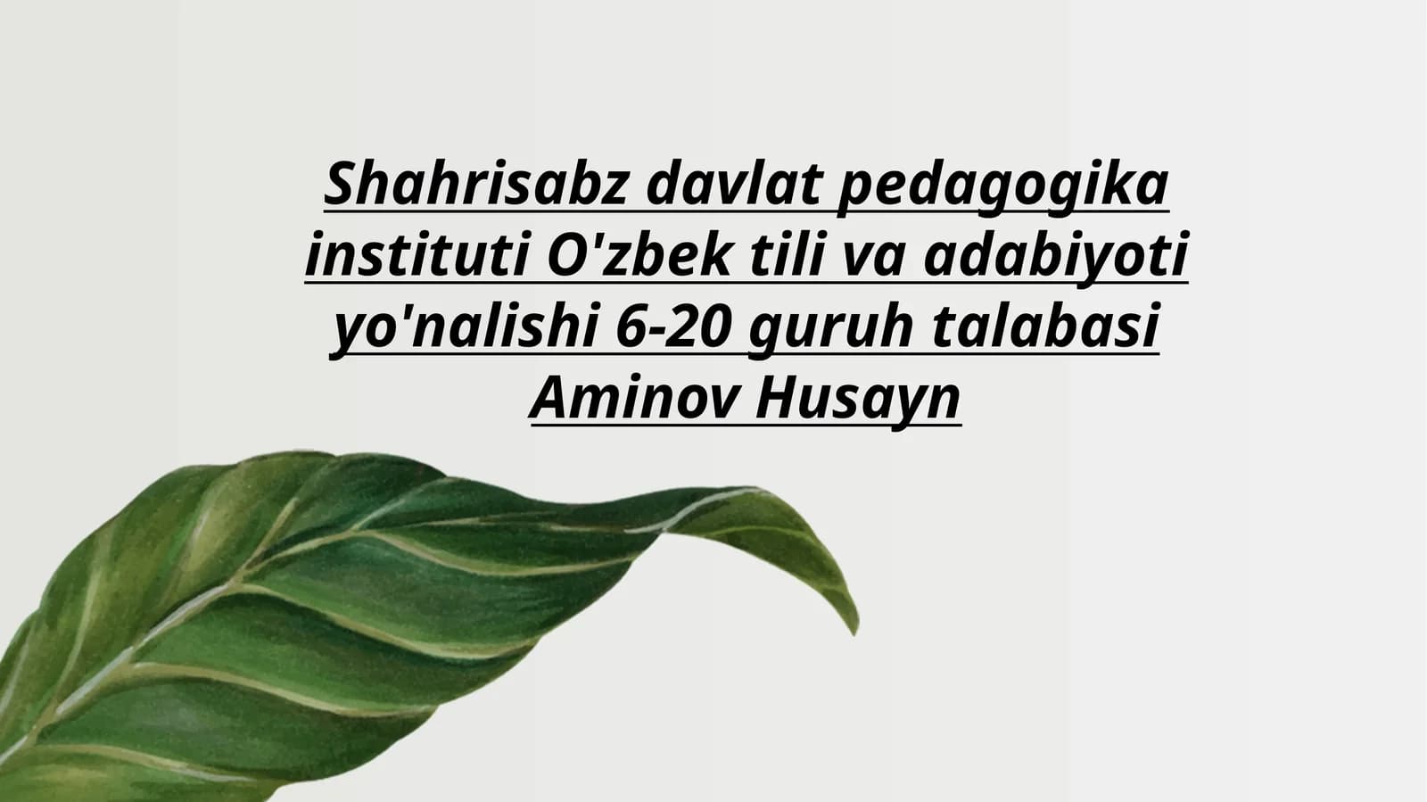 Lison ut-tayr