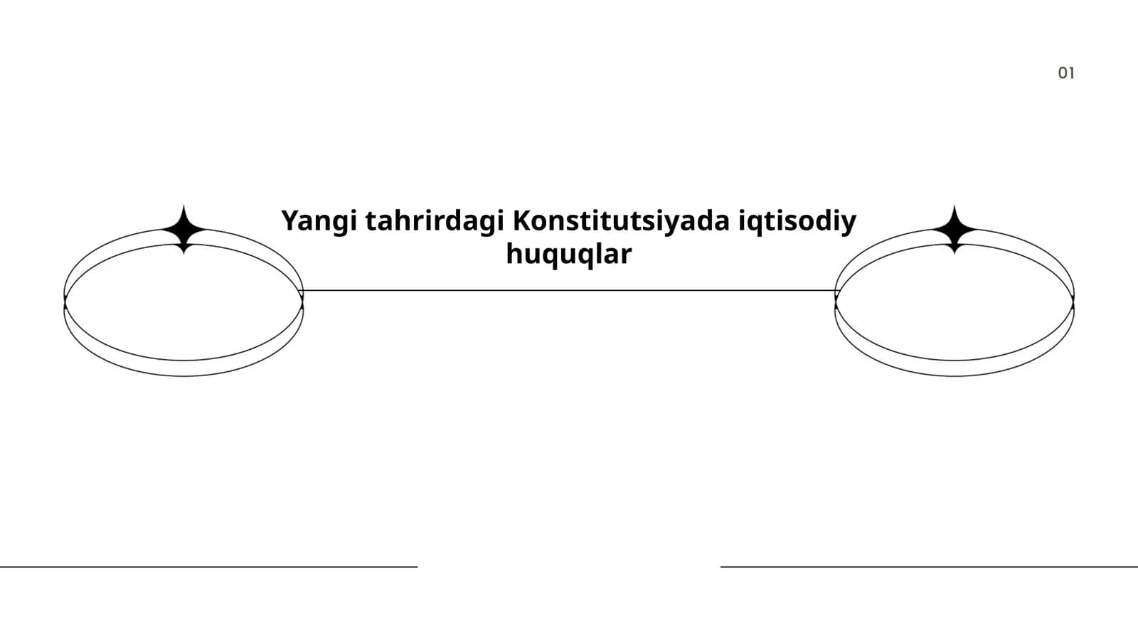 Yangi tahrirdagi Konstitutsiyada iqtisodiy huquqlar
