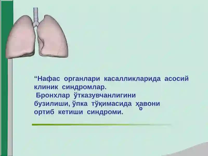 Нафас органлари касалликларида асосий клиник синдромлар