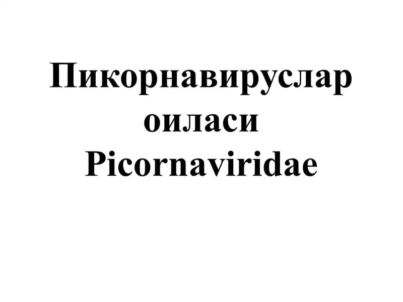 Пикорнавируслар оиласиPicornaviridae