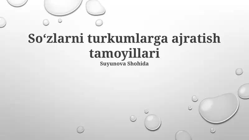 Soʻzlarni turkumlarga ajratish tamoyillari