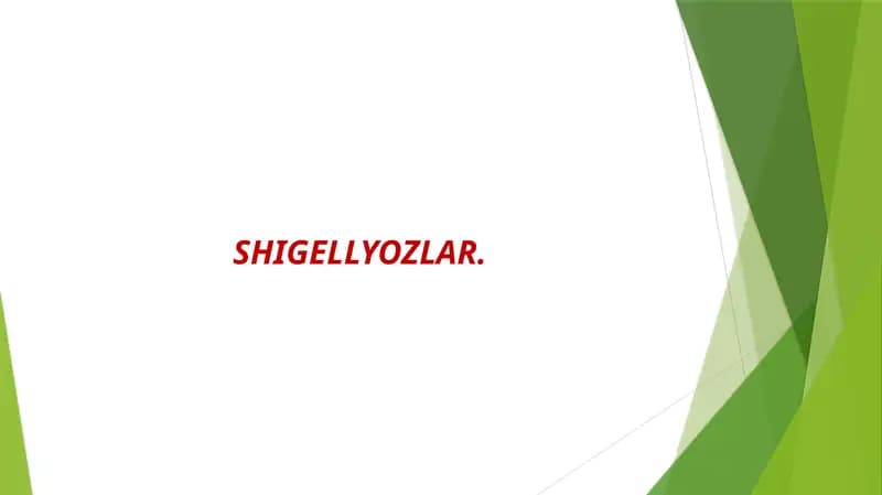 Ichburug‘ –Dizenteriya (shigellyozlar)