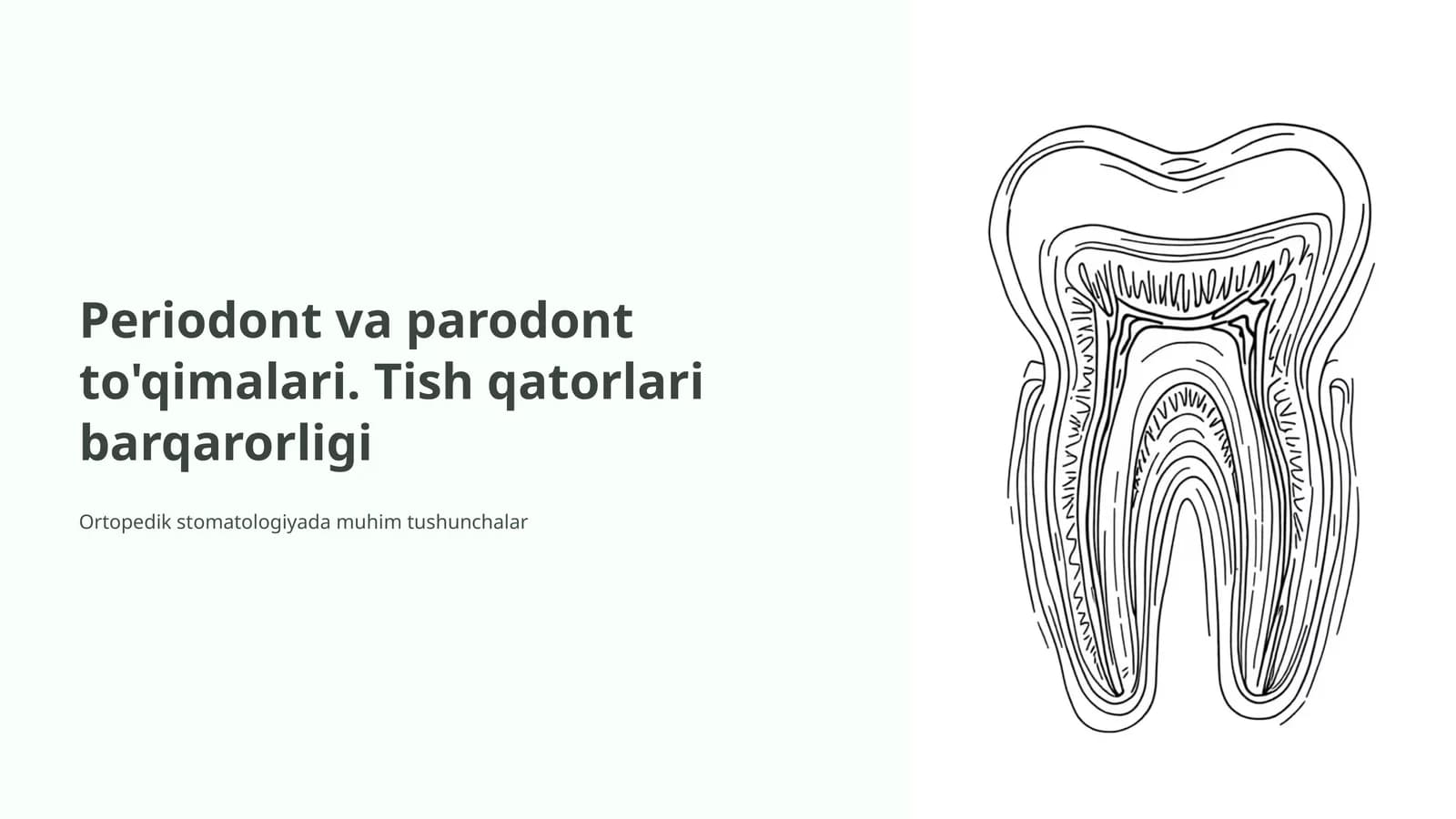 Periodont va parodont to'qimalari. Tish qatorlari barqarorligi