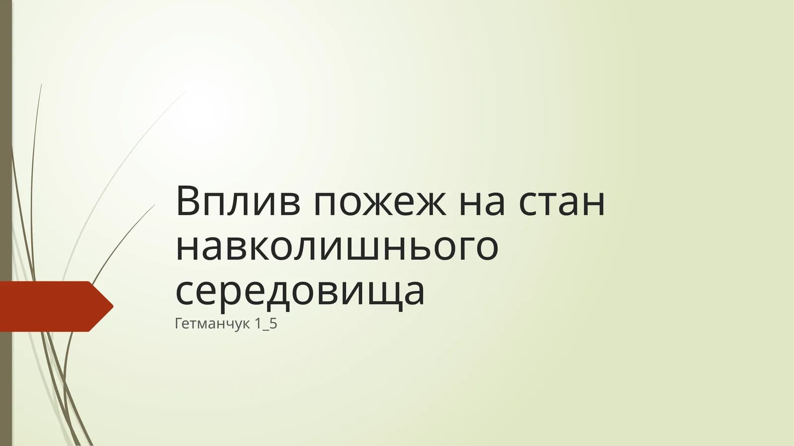 Вплив пожеж на стан навколишнього середовища