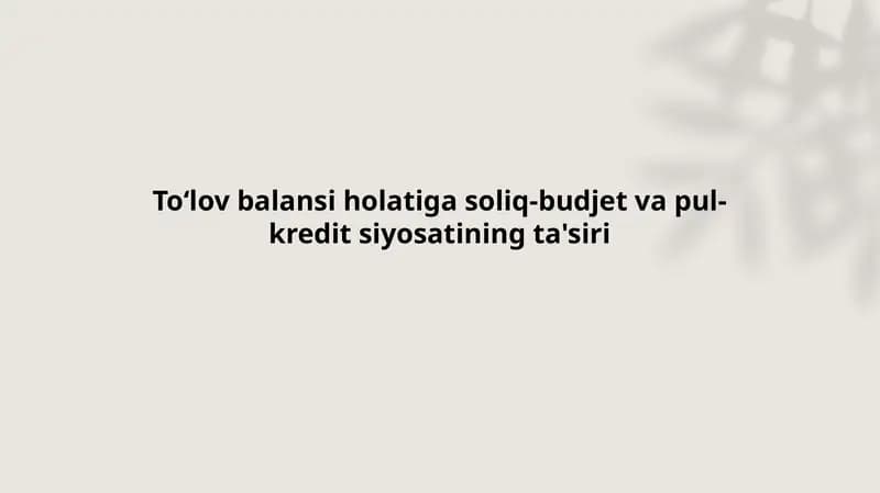 Toʻlovbalansiholatigasoliq-budjetvapul-kreditsiyosatiningta'siri