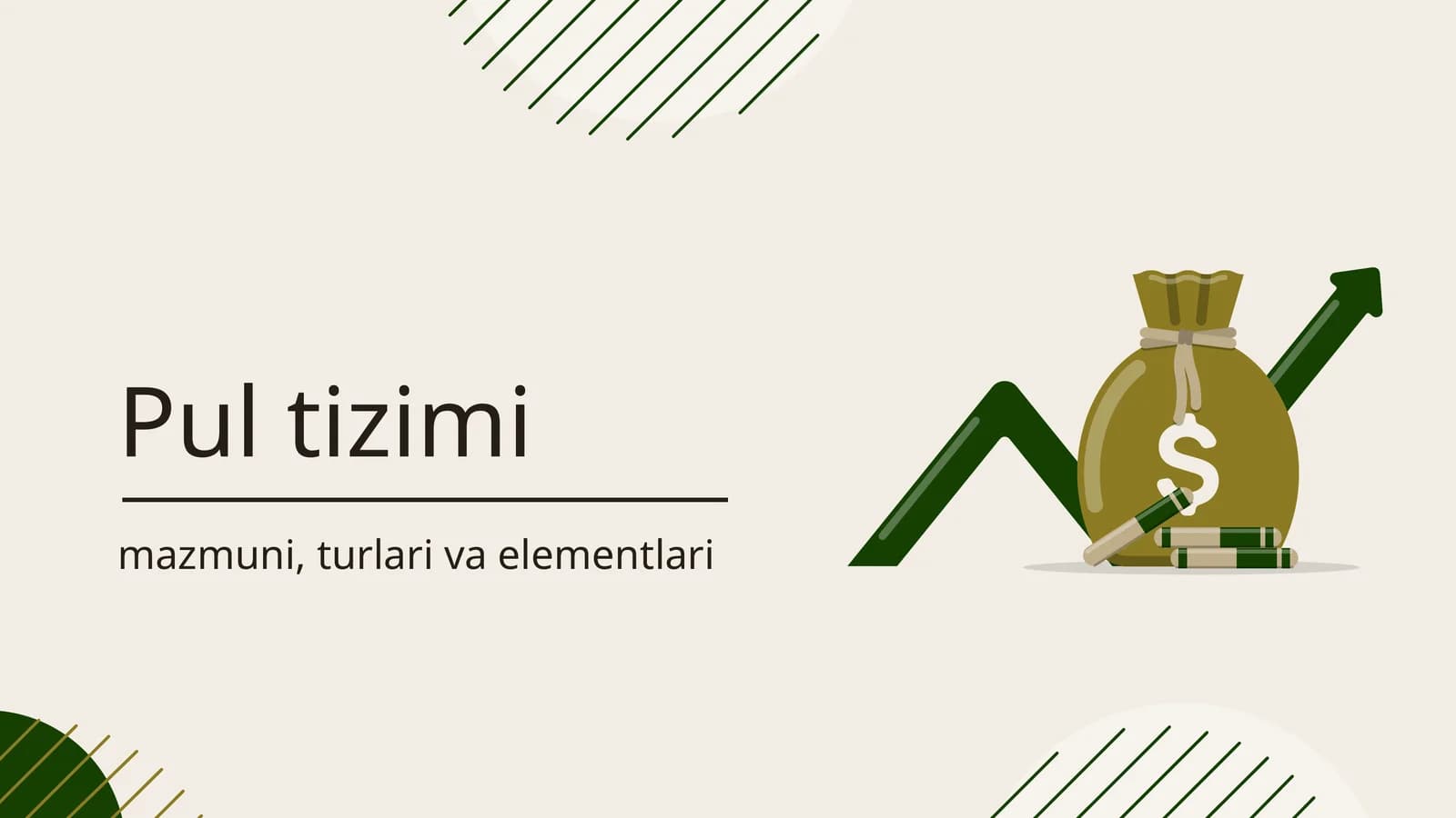Pul tizimi