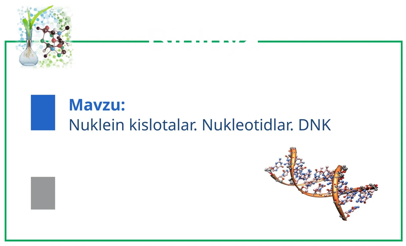 Nukleinkislotalar