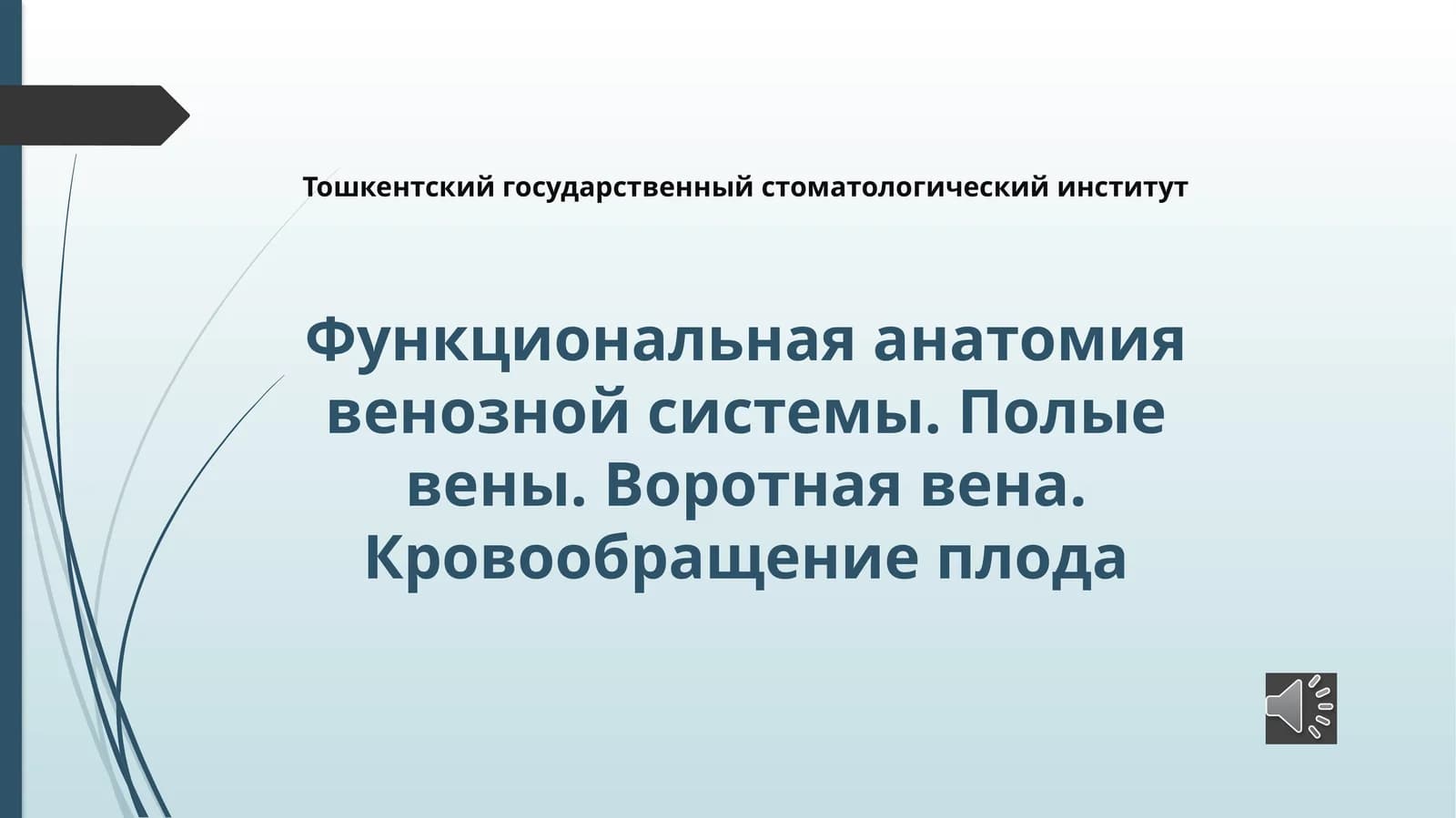 Функциональная анатомия венозной системы. Полые вены. Воротная вена. Кровообращение плода