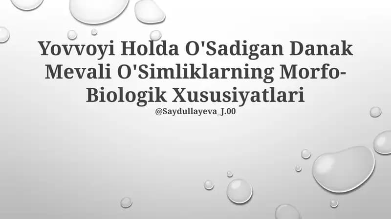 Yovvoyi Holda O'Sadigan Danak Mevali O'Simliklarning Morfo-Biologik Xususiyatlari