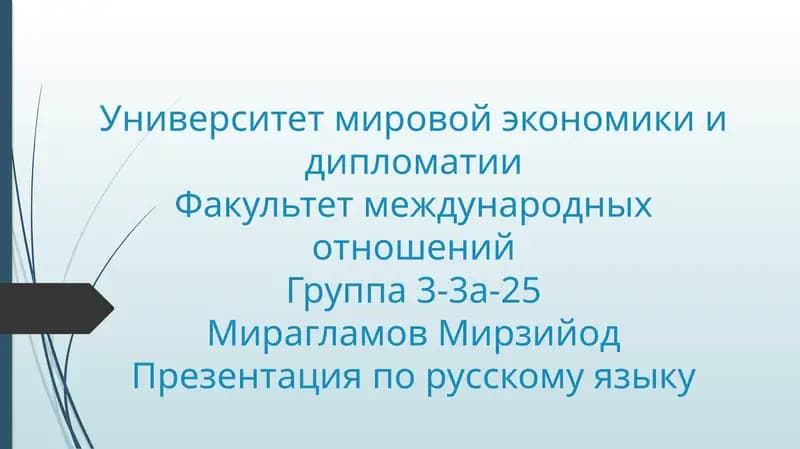 Презентация по русскому языку