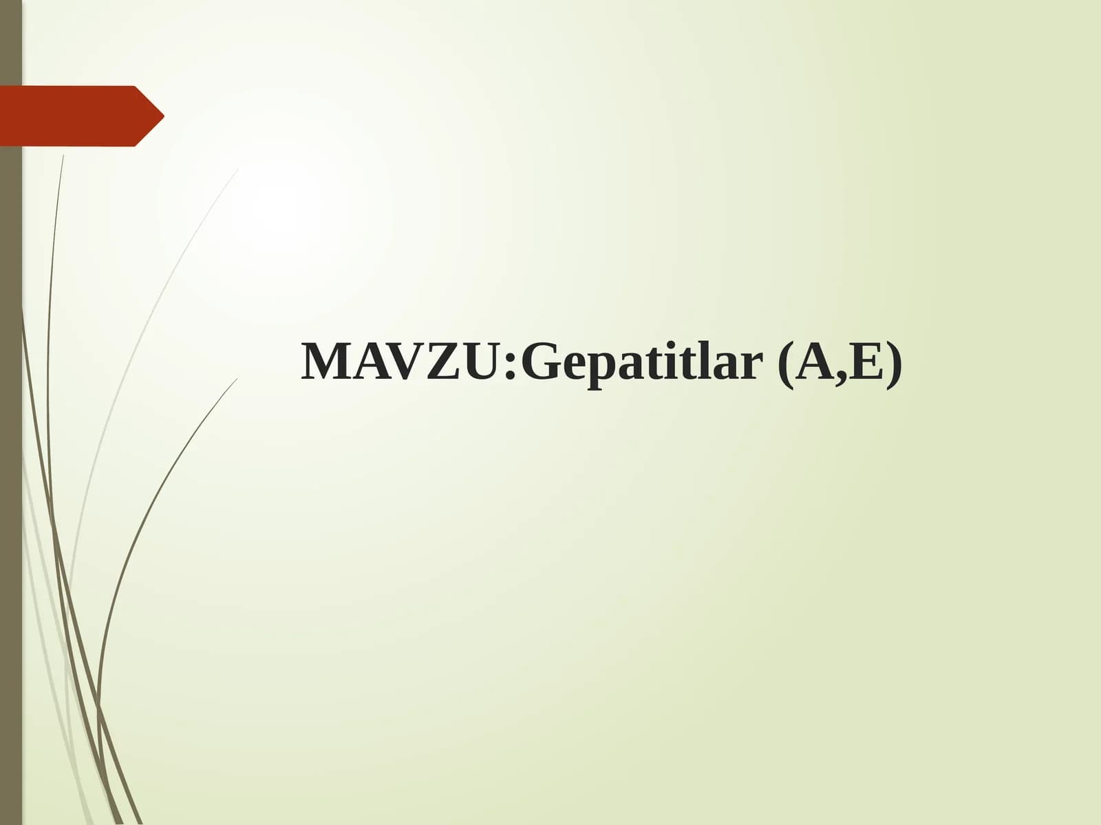 Gepatitlar(A,E)