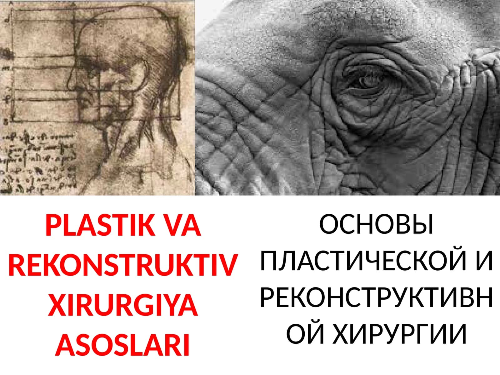 PLASTIK VA RЕKONSTRUKTIV XIRURGIYA ASOSLARI