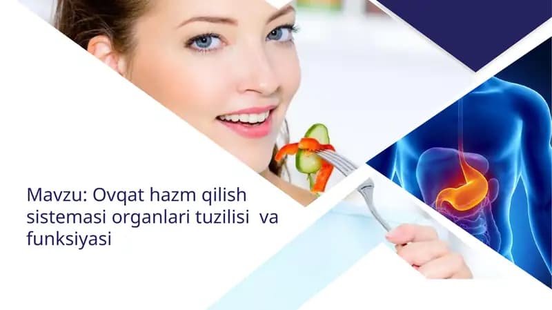 Ovqat hazm qilish sistemasi organlari tuzilishi va funksiyasi