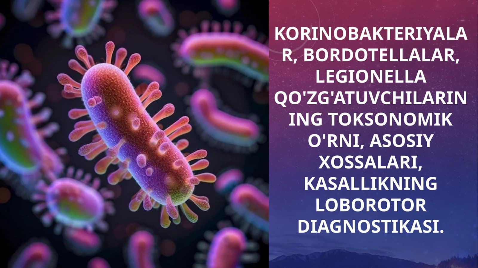 korinobakteriyalar, bordotellalar, legionella qo'zg'atuvchilarining toksonomik o'rni, asosiy xossalari, kasallikning loborotor diagnostikasi.