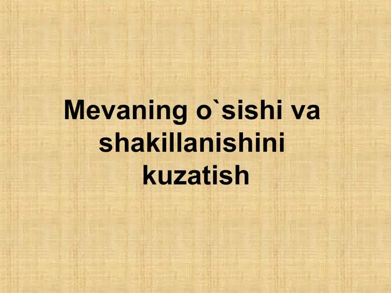 Meva bog'i ustida ishlar