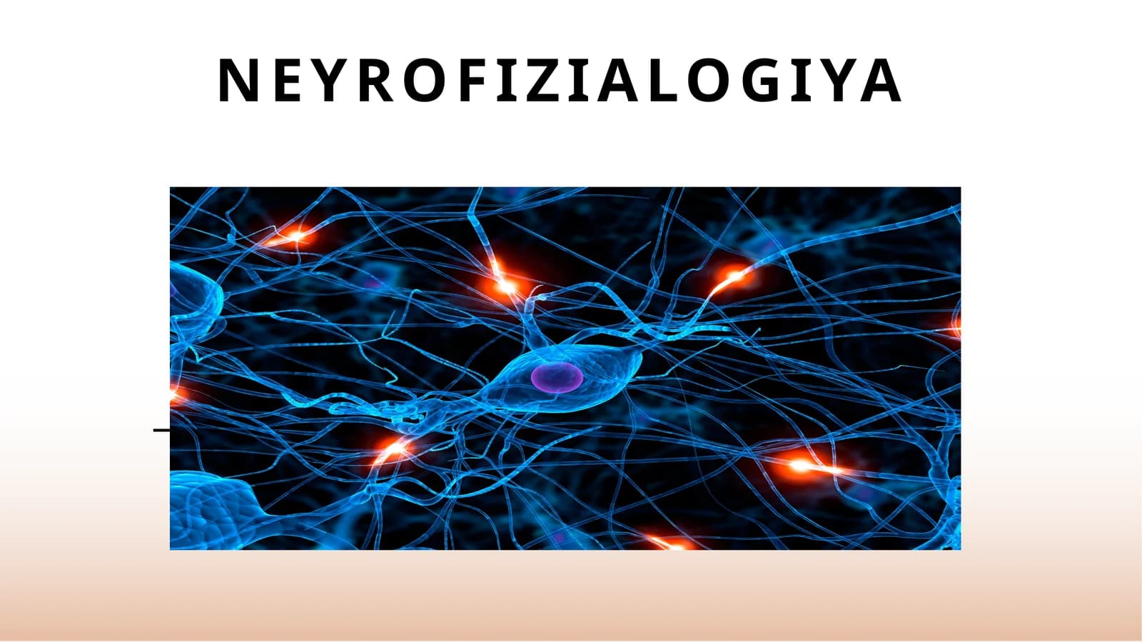 Neyrofiziologiya