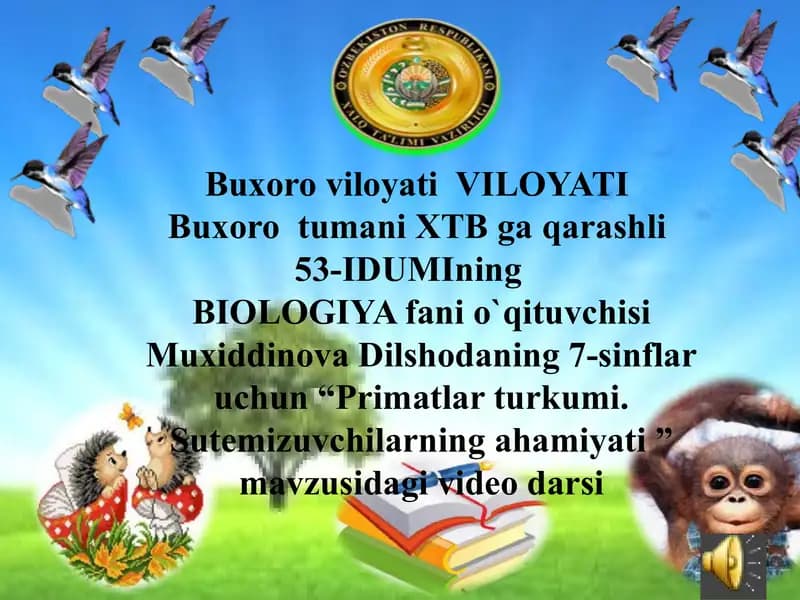 Primatlar turkumi. Sutemizuvchilarning ahamiyati