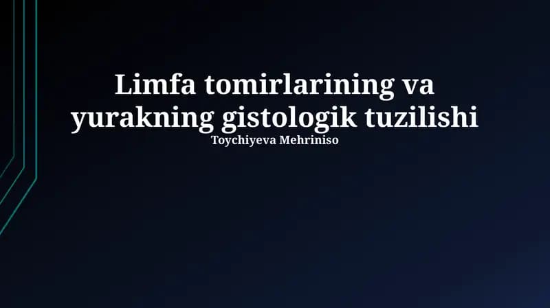 Yurakning gistologik tuzilishi