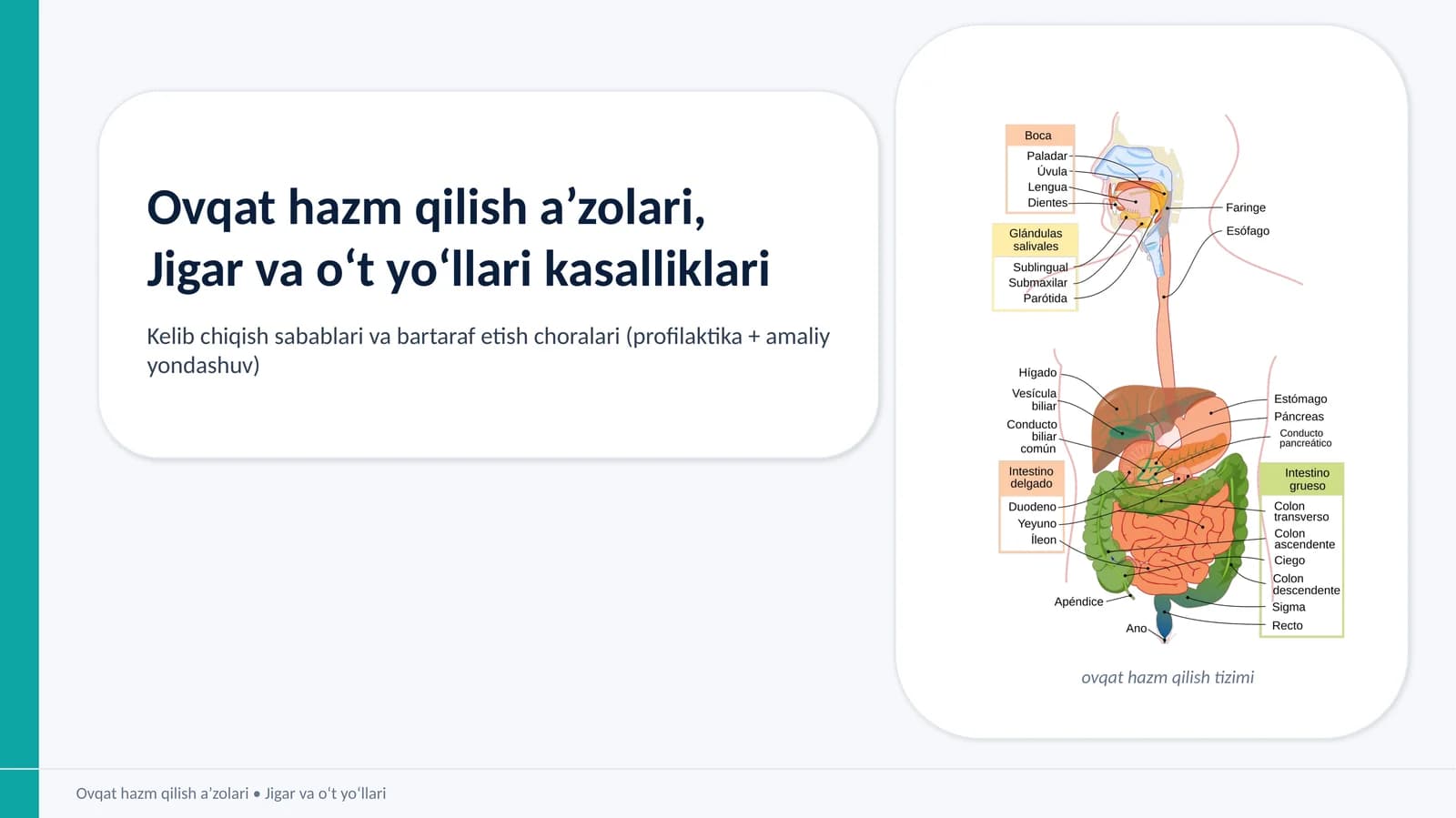 Ovqat hazm qilish a’zolari, Jigar va o‘t yo‘llari kasalliklari