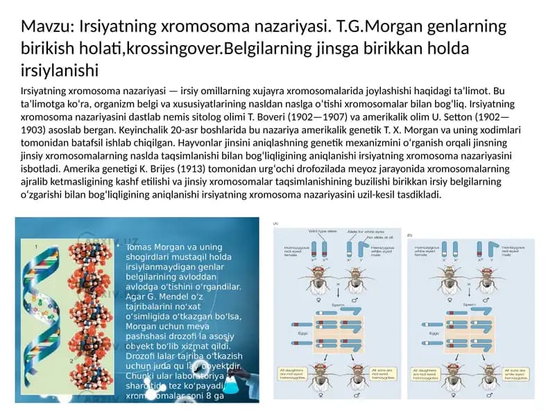 Irsiyatning xromosoma nazariyasi. T.G.Morgan genlarning  birikish holati,krossingover.Belgilarning jinsga birikkan holda irsiylanishi