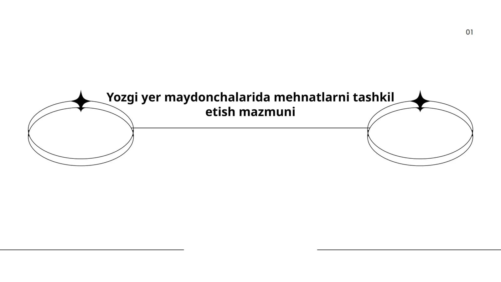 Yozgi yer maydonchalarida mehnatlarni tashkil etish mazmuni