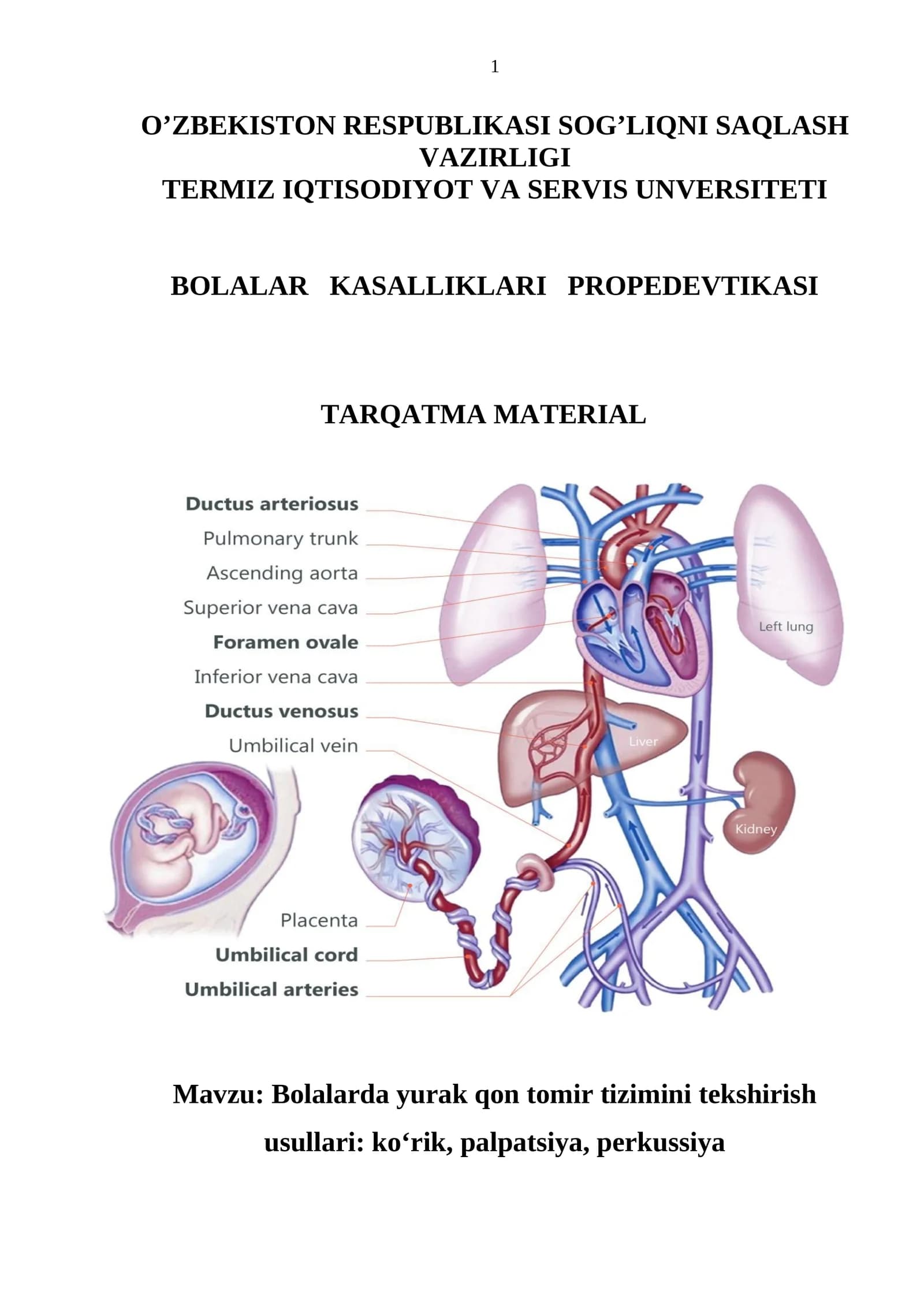 Bolalarda yurak qon tomir tizimini tekshirish usullari: ko‘rik, palpatsiya, perkussiya
