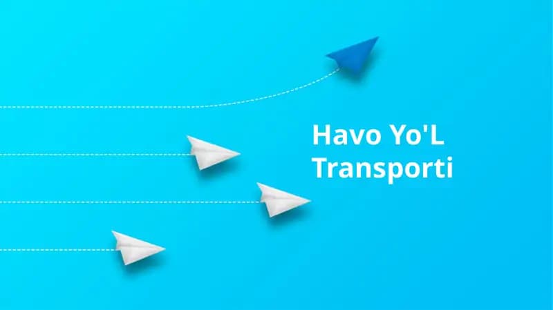 Havo Yo'L Transporti