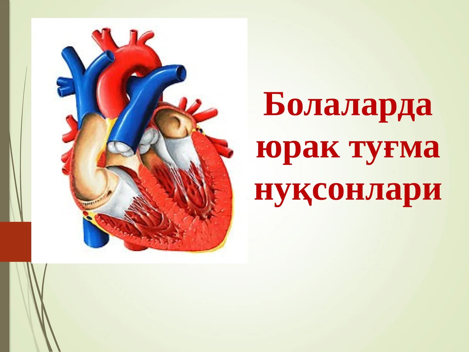Болаларда юрак туғма нуқсонлари