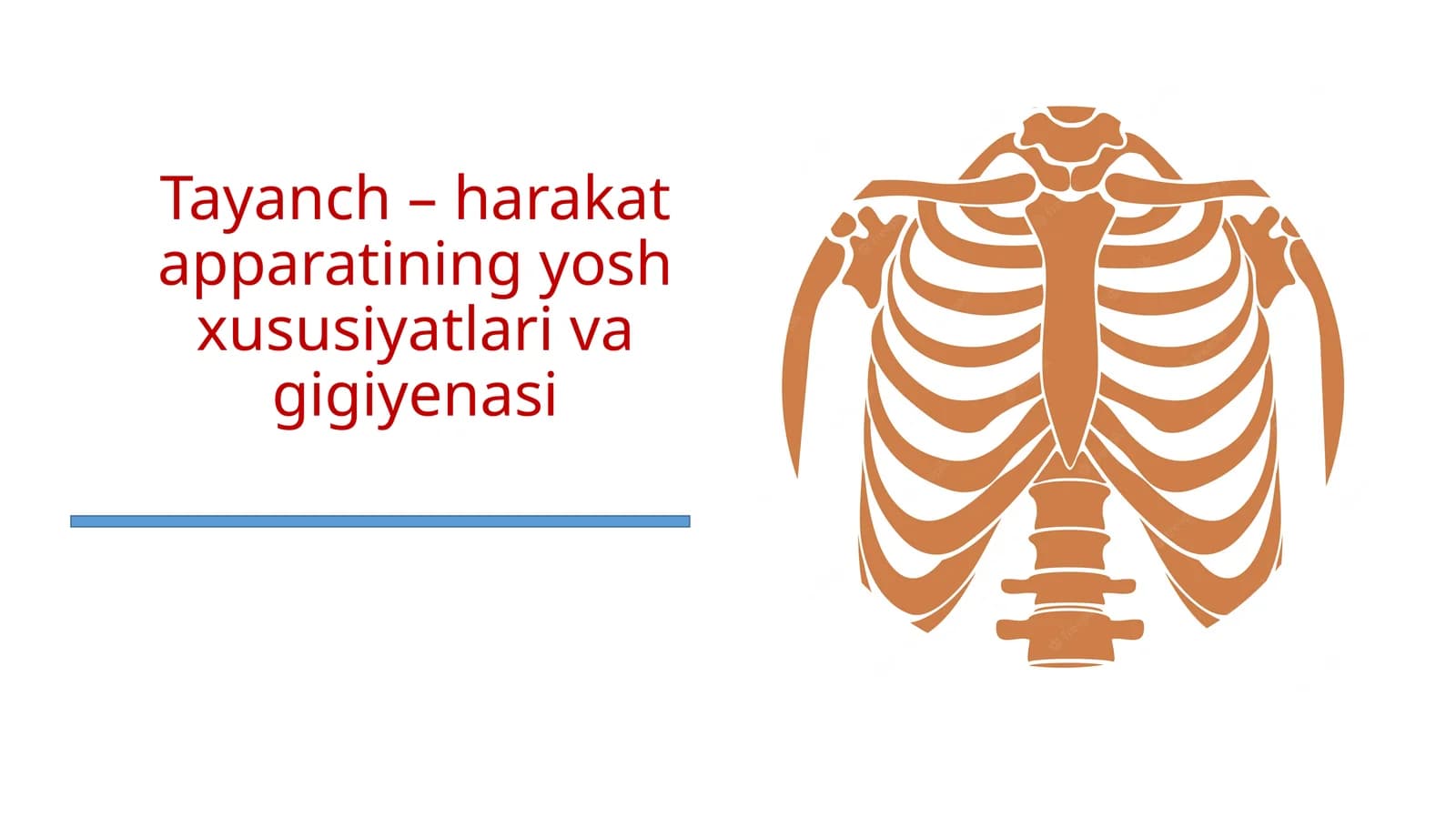 Tayanch - harakat apparatining yosh xususiyatlari va gigiyenasi
