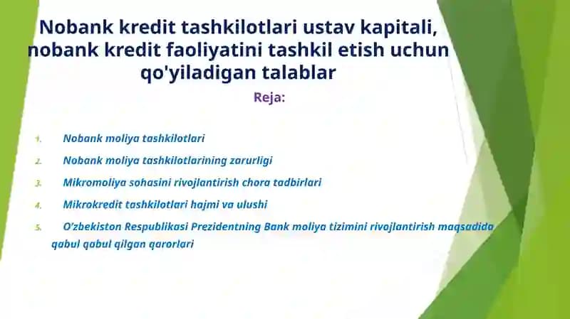 Nobankmoliya tashkilotlari