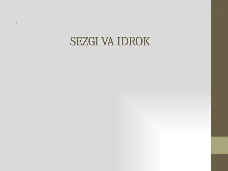 Sezgi va idrok