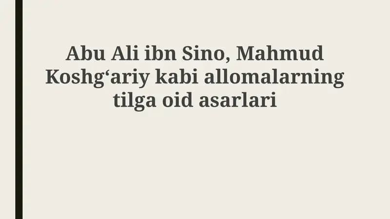 Abu Ali ibn Sino, Mahmud Koshgʻariyning tilga oid asarlari