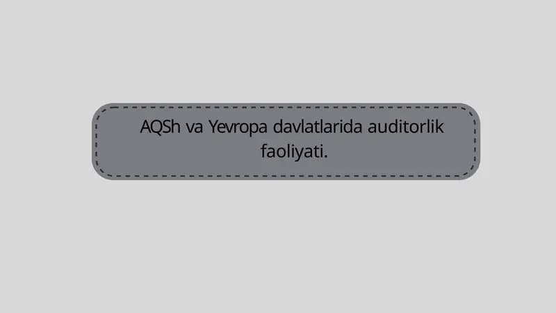 AQSh va Yevropa davlatlarida auditorlik