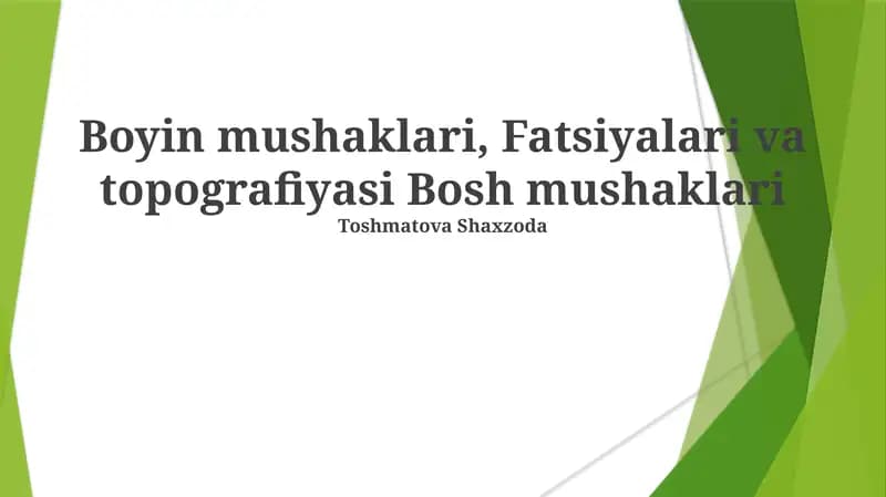 Boyin mushaklari, Fatsiyalari va topografiyasi Bosh mushaklari