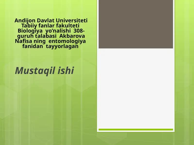 Entomologi. Hasharotlar morfologiyasi