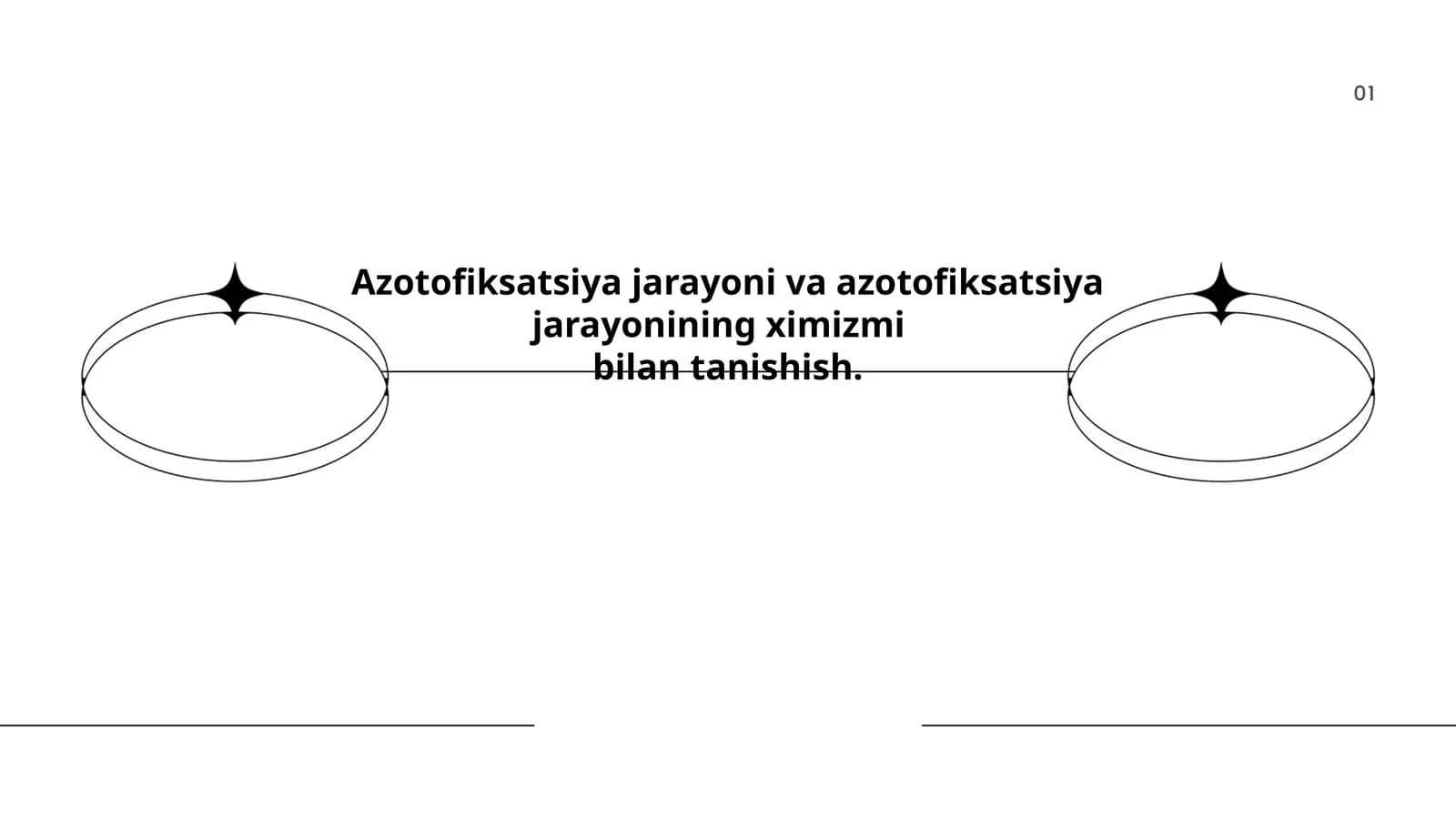 Azotofiksatsiya jarayoni va azotofiksatsiya jarayonining ximizmi bilan tanishish