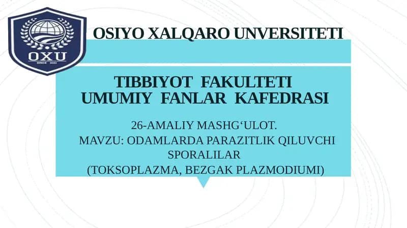 SPORALILAR SINFI