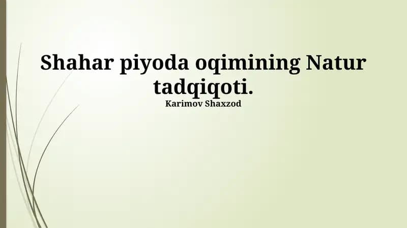 Shahar piyoda oqimining Natur tadqiqoti