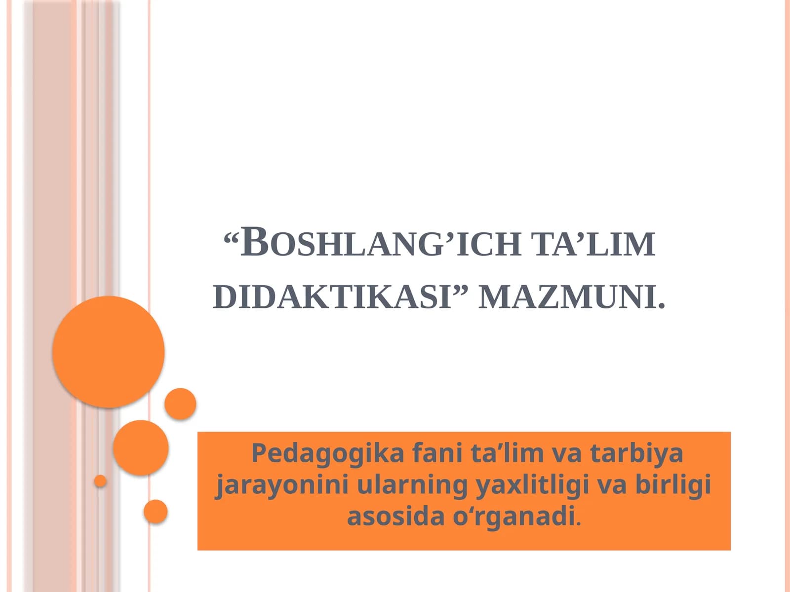 Boshlang’ich ta’lim didaktikasi