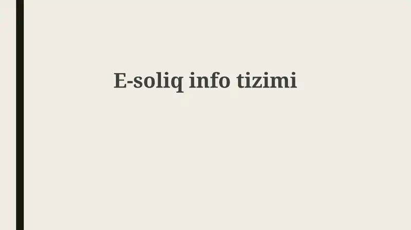 E-soliqinfotizimi