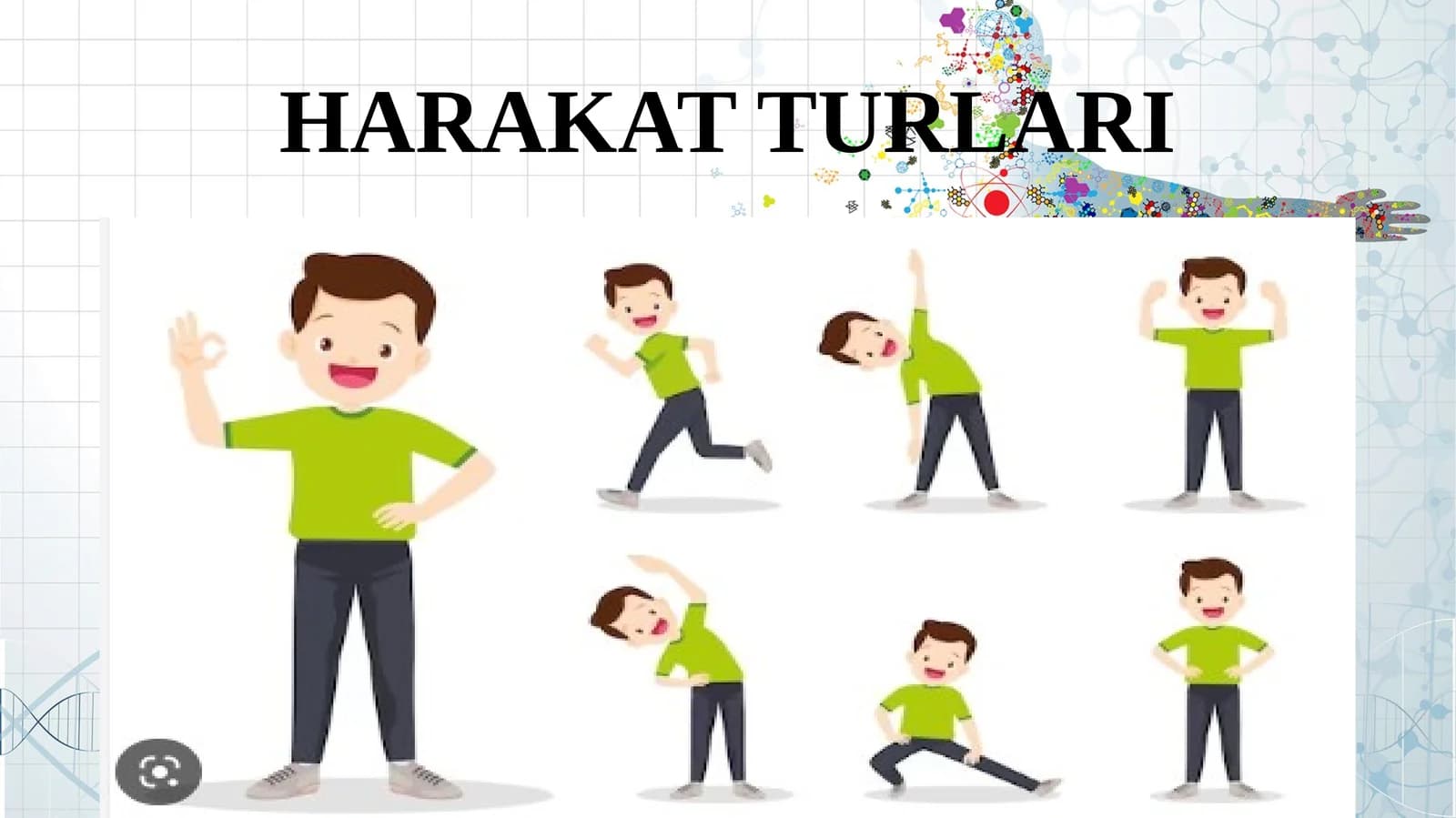 HARAKAT TURLARI