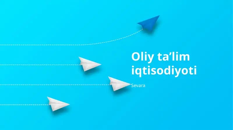 Oliy ta’lim iqtisodiyoti