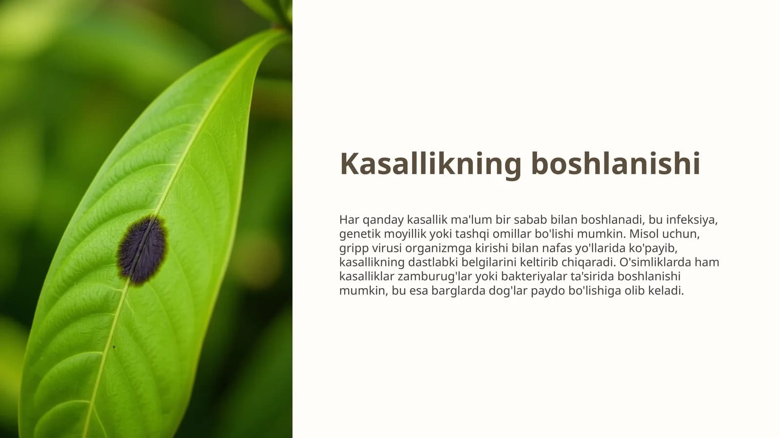 Kasallikning boshlanishi