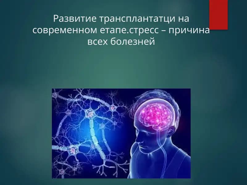 Развитие трансплантатци на современном етапе.стресс – причина всех болезней