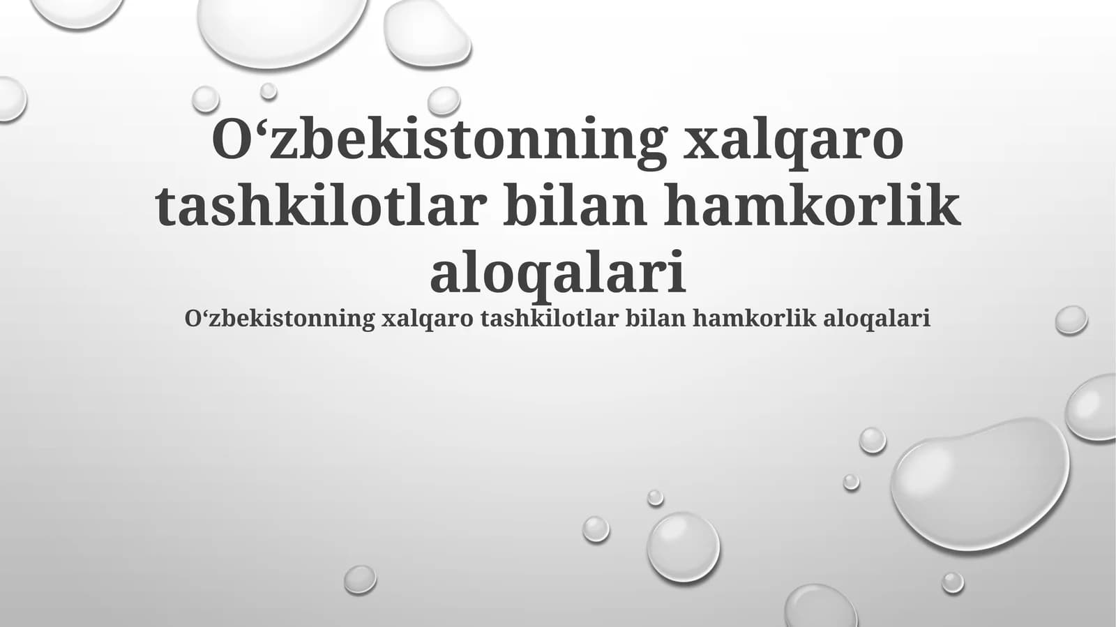 Xalqaro tashkilotlar bilan hamkorlik